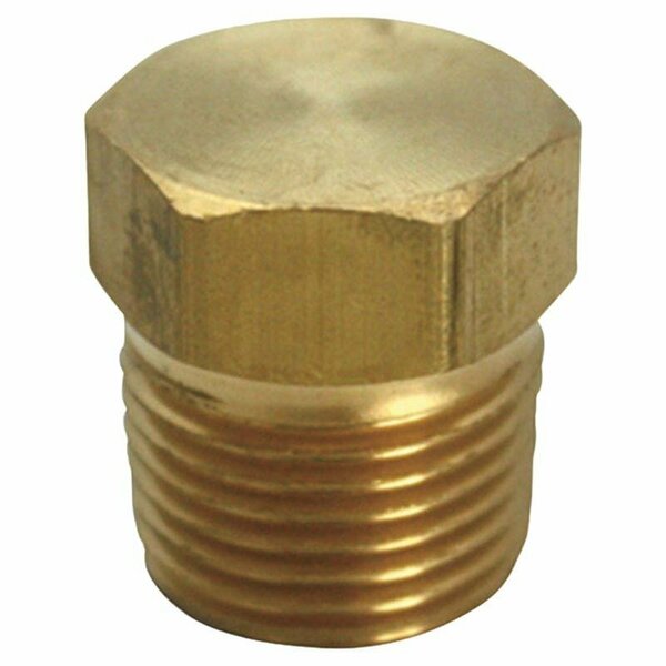 Homeplus+ CORED HEX PLUG 1/4in. MPT 6JC120810701017
